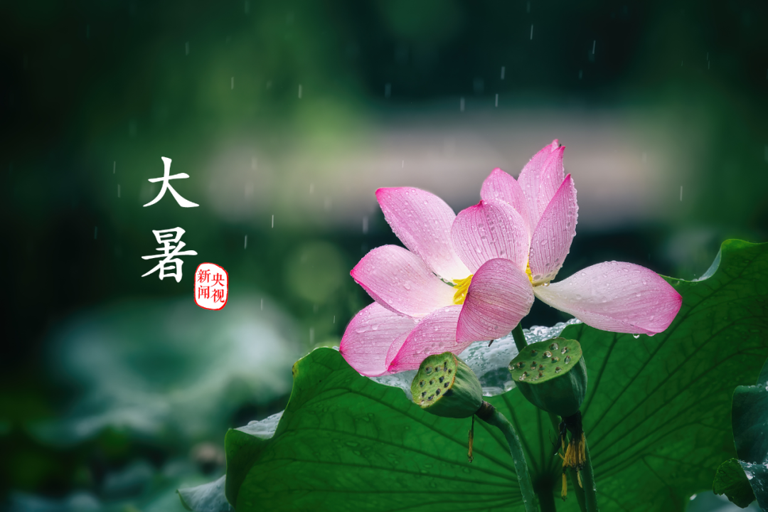 夏天最后一个节气，来了！